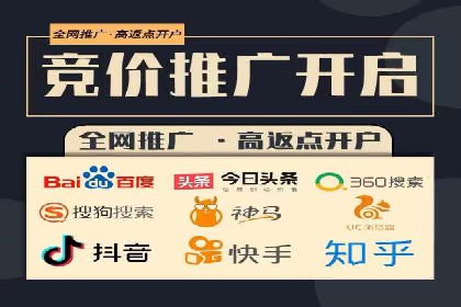 某电商平台的SEM策略与效果展示